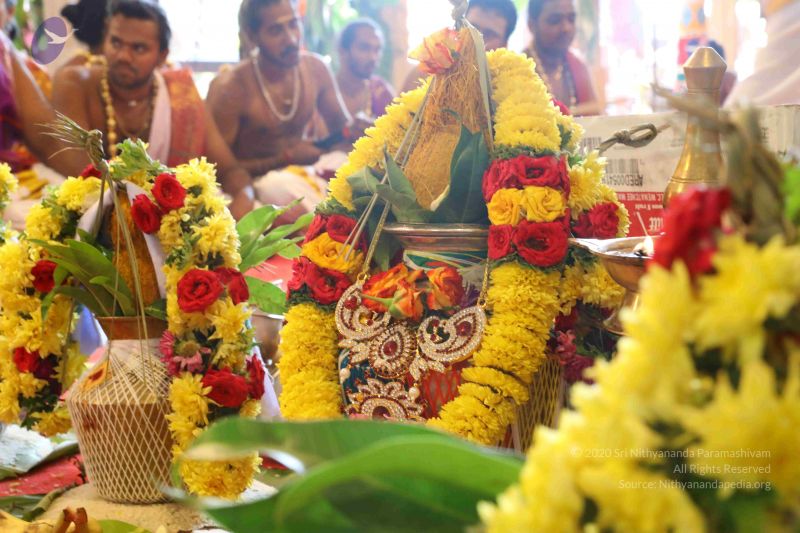 File:20180414 Photo 2463 1S8 f O B8vBCFow2qwaZKYdlBizVCD7K.JPG