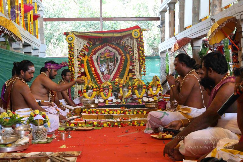 File:20180414 Photo 2468 1Wk xUfuZC9Kc-fPgjE1wsPx5KsiQD4ai.JPG