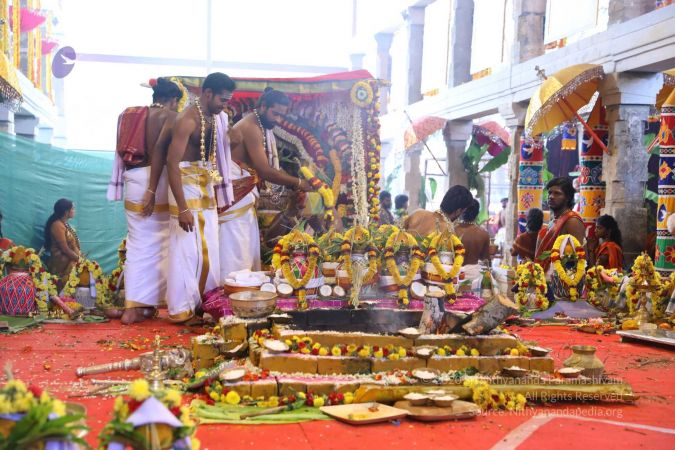 20180414 Photo 2566 1 TqxlnCP4nT52tFt531UAAmrQdUpN4B .jpg