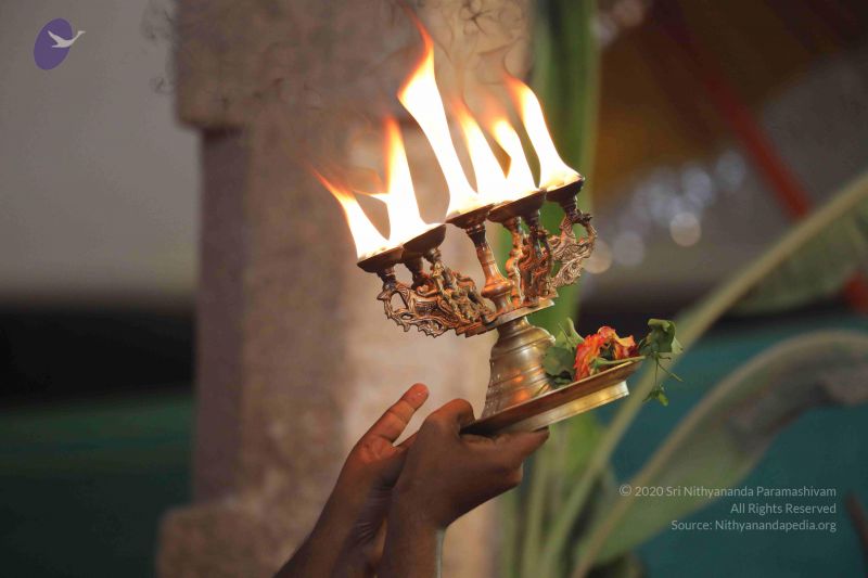 File:20180414 Photo 2585 1V5PDiI2n080Wj3eya1lEI56J6AT4lBnZ.JPG