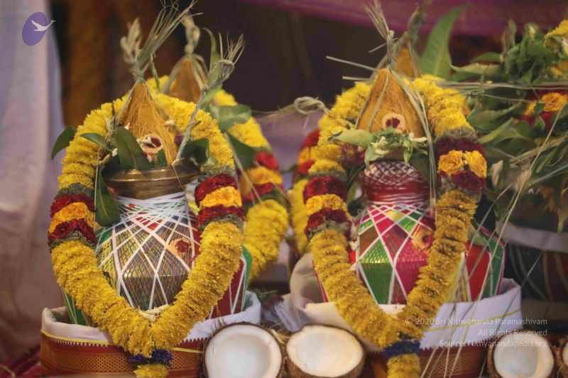 File:20180414 Photo 2588 1QxfRohTKhCadpsiPvQ-ddKo5H0KuEBeB.JPG