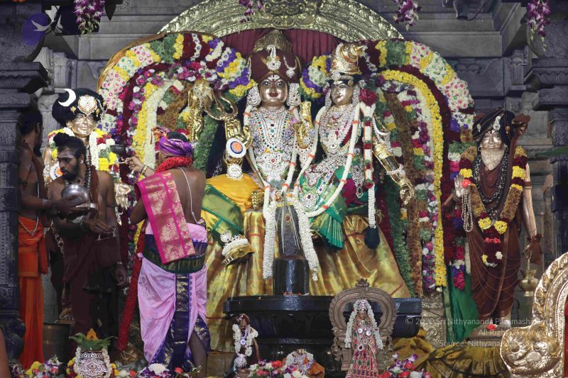 File:20180414 Photo 2605 1dcf5Y5vaE T7qh7SsWy5gCc4s8 nzIK7.JPG