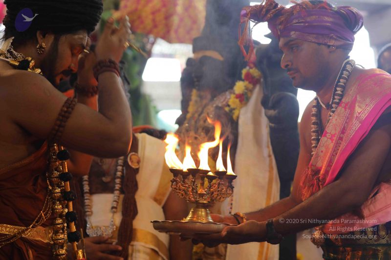 File:20180414 Photo 2621 1iJjp9CHvq2qtnU2cBpDIn4nyw0Ed1HXz.JPG