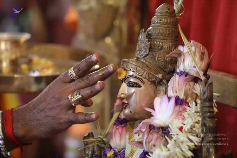 File:20180414 Photo 2637 1NVHWyFFx3lpHyMvNPbY2boZrsYN72pTk.JPG