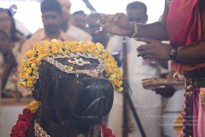 File:20180414 Photo 2666 1Wxz0RrygF8dbiyzTpJtTu1ijRAPlMr7K.JPG