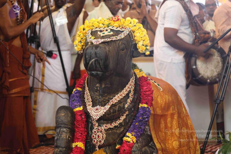 File:20180414 Photo 2668 1KSD1S9A3fTaEXUVUsDa0pZMVboTLE-mP.JPG