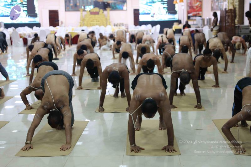 File:20180415 Photo 1525 1ScCO87j7RkqvHIrOk lUTbVQVlsv2LyL.JPG