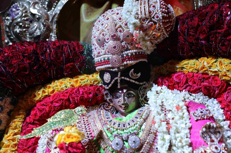 File:20180418 Photo 1016 1pMs-RZwGeJ3K mwVxGA719pGrduUhuci.JPG