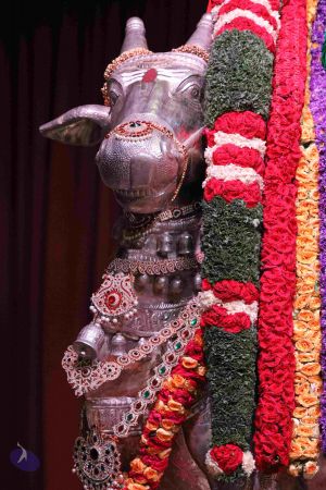 20180423 Photo 1042 1MvCmle82fKPjZsUVhcuE99YVD-UICuFY.JPG