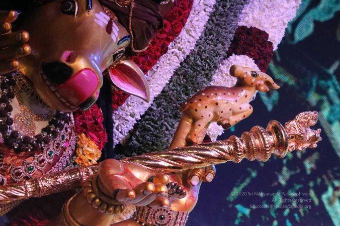 20180424 Photo 556 1dbMCchPwu3wbkvU5PGr1xAPPmBeOSKbj.jpg