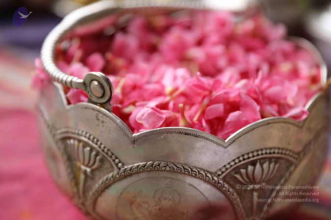 20180426 Photo 1288 1aKVvN1rLwlxk3AD91hsP5g3 5mqzQ1Wk.JPG