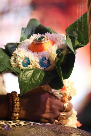 20180427 Photo 1024 1KE-xhDD14XpniLWlFhjxRWib caKQaVa.JPG