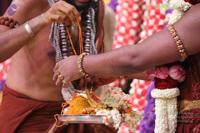 20180427 Photo 1042 1h083DuqMpIOjCjwi3N3oPaPe6dUxuHsd.JPG