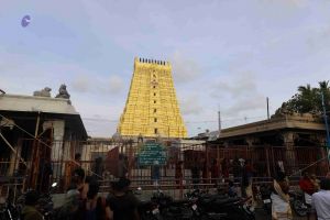 20180428 Photo 101 15mzU10AXziLhqovcSsLbzoVItKicRcJp.jpg