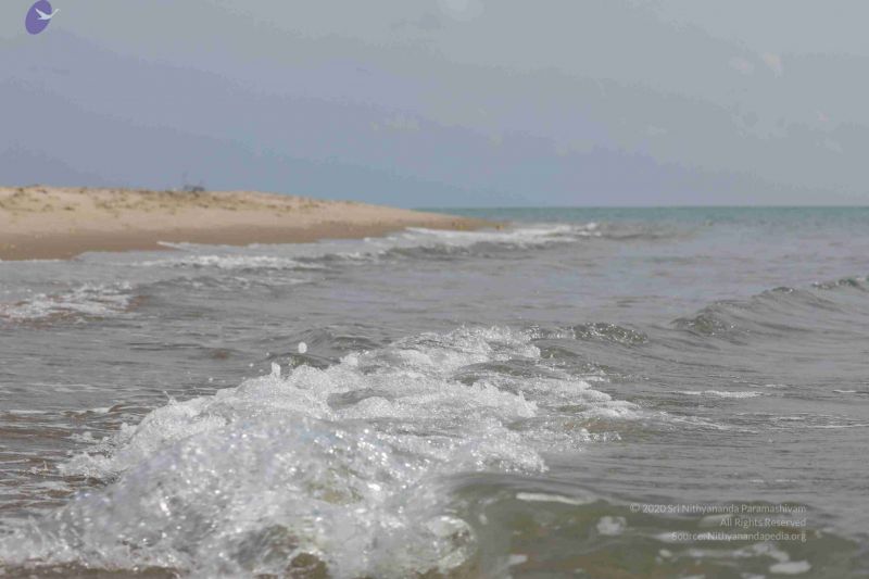 File:20180428 Photo 119 1dChoAzCEYjQR5cahAHszx9T8Ldo R q0.jpg