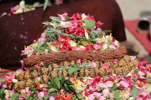 20180428 Photo 191 12eXeqiMkeSS XoXBNV7G02HOaK90zGWD.jpg