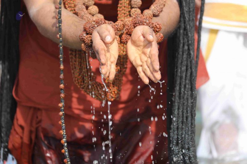 File:20180428 Photo 229 1GzkCbHSMd29f8UW3XwsrAOzw6d3TNvy3.jpg