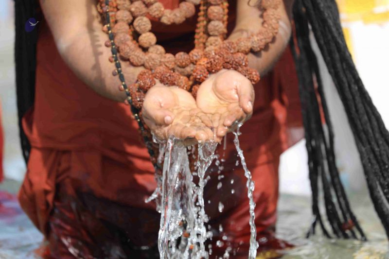 File:20180428 Photo 230 1hwaNA9vIymOBZM9HmTNEegjlJozvZQ6V.jpg