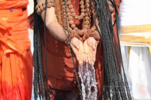 20180428 Photo 288 1SPriVw0ZGS0kF5csrEAzgwwqJHFO6lpO.jpg