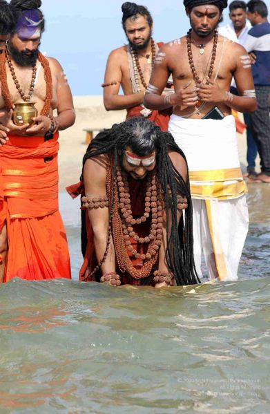 File:20180428 Photo 298 1kIJfZhTsbhUtX93j WhKedk5oQ2dulsU.jpg