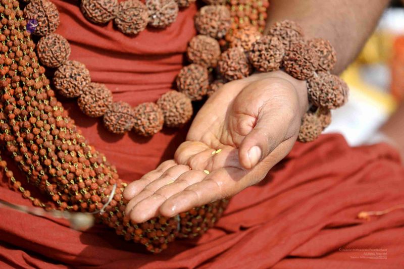 File:20180428 Photo 329 1RE0AgV6W0YQdF71g5RYNsySeh6IsBEVl.jpg