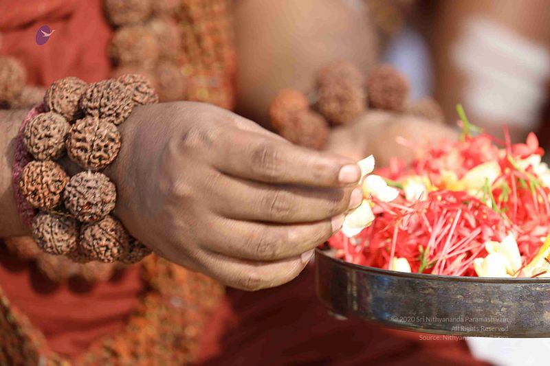 File:20180428 Photo 339 15RXv3uAm2mGLhNKhKloNuFQY6onEK5P3.jpg