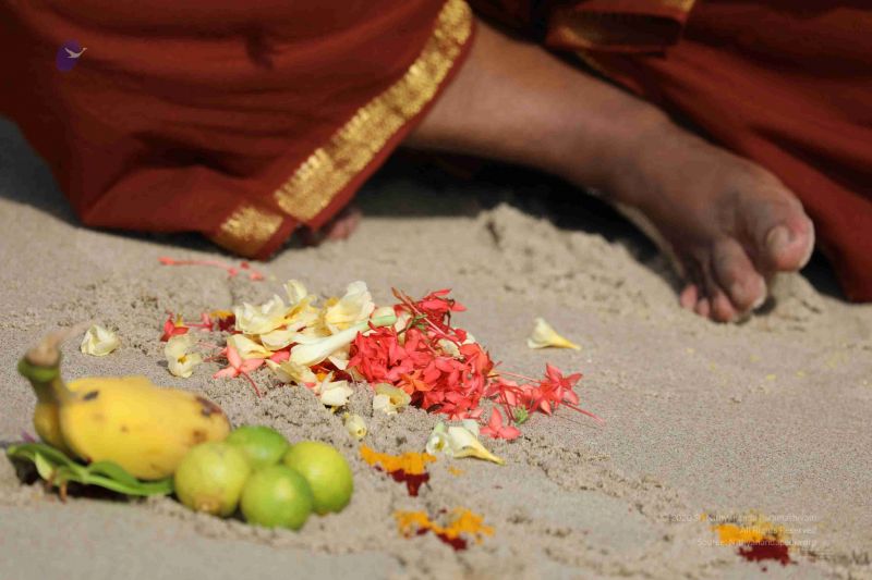 File:20180428 Photo 343 14Hzd5qRMo2f72i3gr45 5EV6VlmXqYkL.jpg