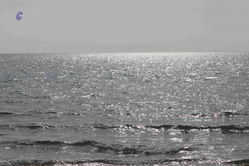 File:20180428 Photo 393 1r7w7TsIZfAd6ehxlUNSAPAHn17LYffKr.jpg