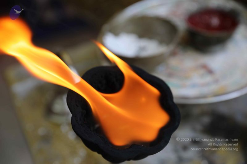 File:20180502 Photo 1025 1f--BdjYTvgPkeyRORycG8LP33yz4XmJN.JPG