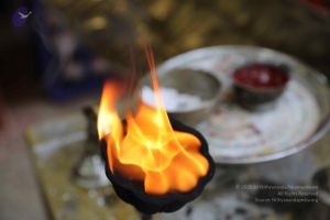 20180502 Photo 1026 1rKfGXotTrIF6wwVmAMz1pgHSBlxO6hEx.JPG