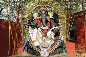 20180502 Photo 106 1ooGPZMU8mHQ7NL5E137Ly80SlP8TaCWa.jpg