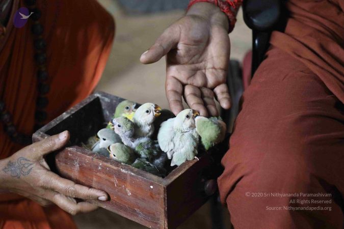 20180505 Photo 1000 1EUdGHueTY3OxqNjl ukjvw90j4VoXevY.JPG