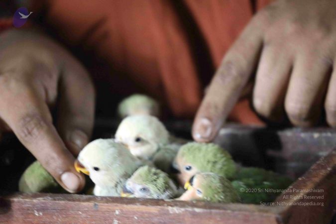 20180505 Photo 1005 1CW419yWJV1vwitJY0-yLc6 Y OFxNHVW.JPG