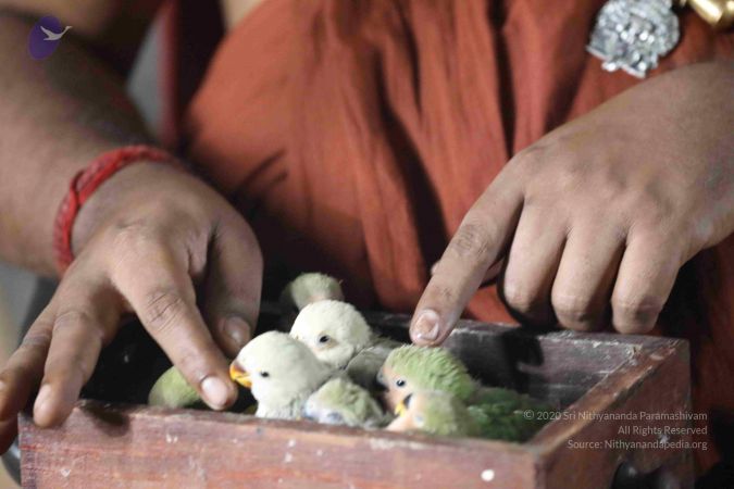 20180505 Photo 1006 1Yizfwl4KpurWSvROeJy70R1vMk1dxpAt.JPG