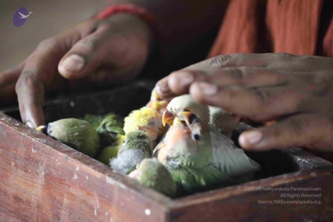 20180505 Photo 1007 16q3YTipFJOl2-CSIke5xMODW75YihHOh.JPG