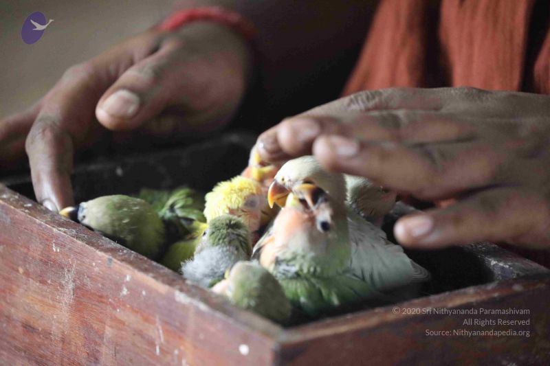 File:20180505 Photo 1007 16q3YTipFJOl2-CSIke5xMODW75YihHOh.JPG