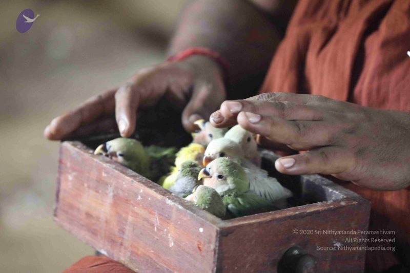 File:20180505 Photo 1008 1BHOK4VuKWLLt1Q4g6j8h0PCvgg3H3H2V.JPG