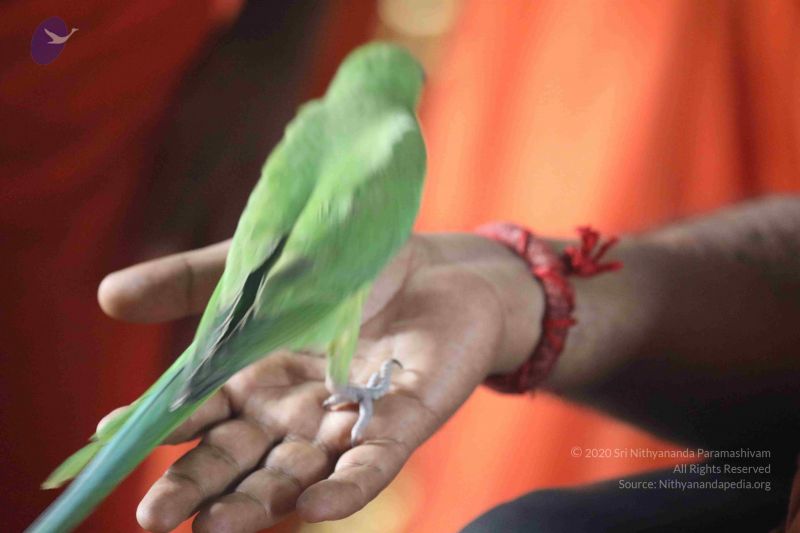 File:20180505 Photo 1010 1IAt5yxjaTl7xft6zQrKUyWAUvMomm PC.JPG