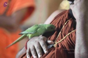 20180505 Photo 1016 1UCiXBLPeDxk6JGbysUjr4FcSLo0T-kSu.JPG