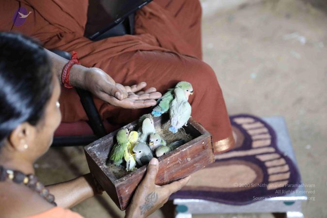 20180505 Photo 1064 1XWTF9 fWtd6UgVF2rtLnN23 p5RcOyym.JPG