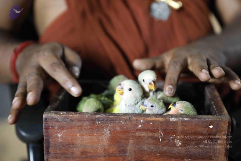 File:20180505 Photo 1074 1AnOG9j4Dnqn7ZKW2t8c51HkchI3vx1GZ.JPG