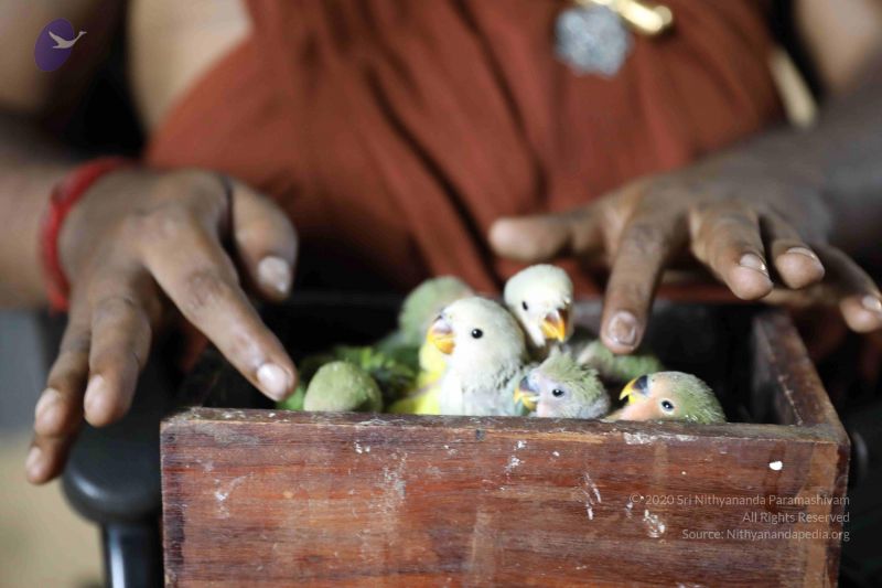 File:20180505 Photo 1075 1nE0PsEKY-ceCT9mhEhp13lT3uwrspMRZ.JPG