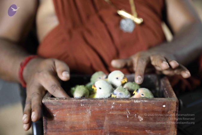 20180505 Photo 1076 1c-uiSzrDRYu2F-VZz-1-OltNF8yccbXr.JPG