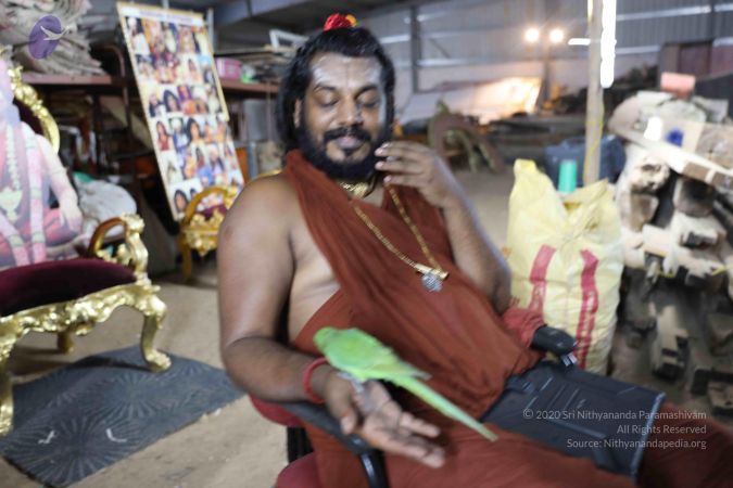 20180505 Photo 1082 1voaA7dMysCJw dpM2Eh7WCWFbLrAK3cc.JPG