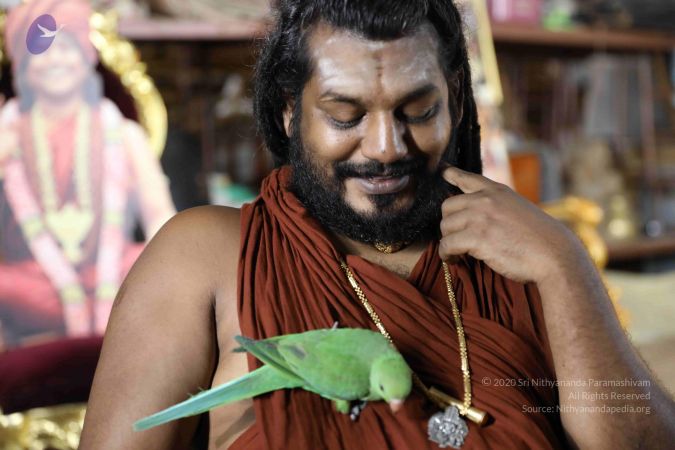 20180505 Photo 1086 1FS0GVA YDpHQEbyij1Aab3nKDw9wDowN.JPG