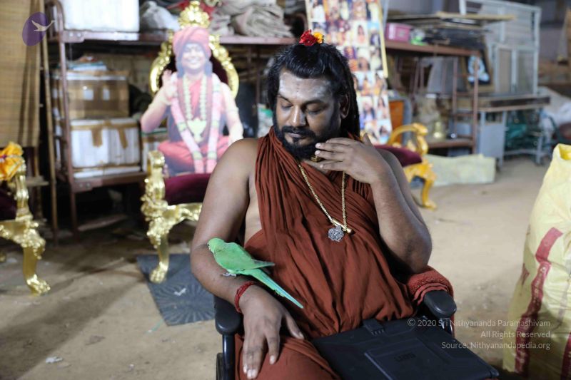 File:20180505 Photo 1090 1QKFd9x9aGx0U3YT1tre P2a3RN22kjzH.JPG