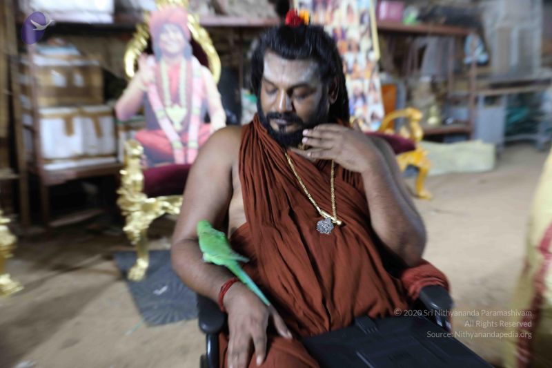 File:20180505 Photo 1092 1sUpAlu6oWPo1uGebfvdgB0NFNocR9FN4.JPG