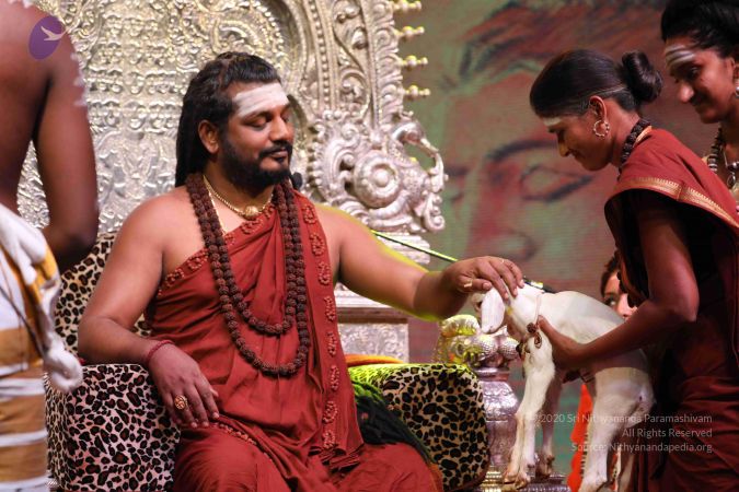 20180506 Photo 1094 13nsWX4JzA3MXVRQU4Qk3pMT7Arj1Yv73.JPG