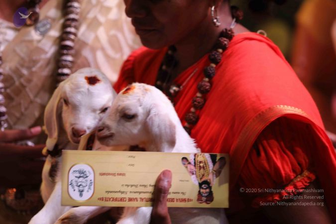 20180506 Photo 1127 18n6o8RR3fcccQq7XzWwKgdJgkSl24OqM.JPG