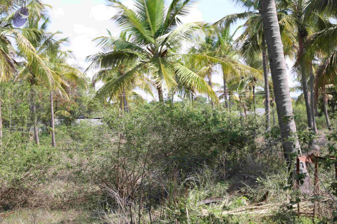 20180510 Photo 1041 1HqRaoLUwwKSLhdYaKKnM7dceFfgxcS69.JPG